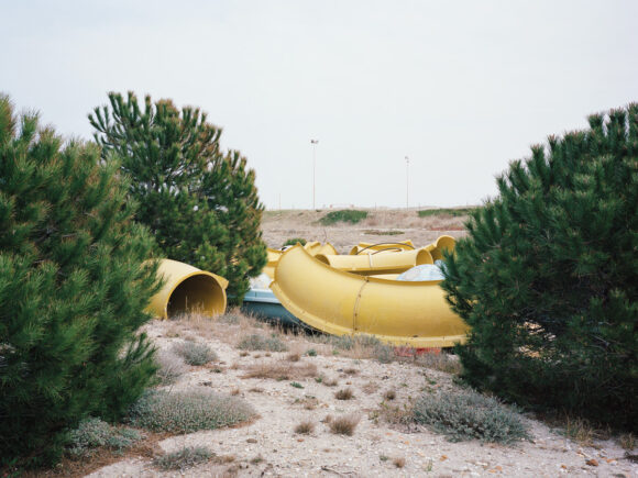 © Shane Lynam