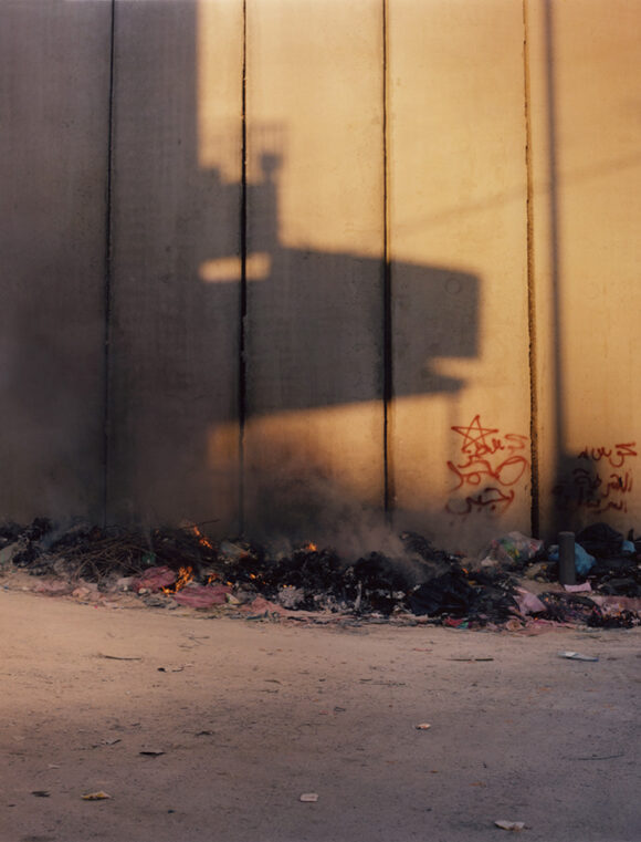 © Harley Weir