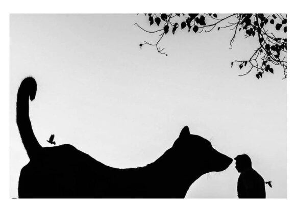 © Raj Sarkar / Instagram