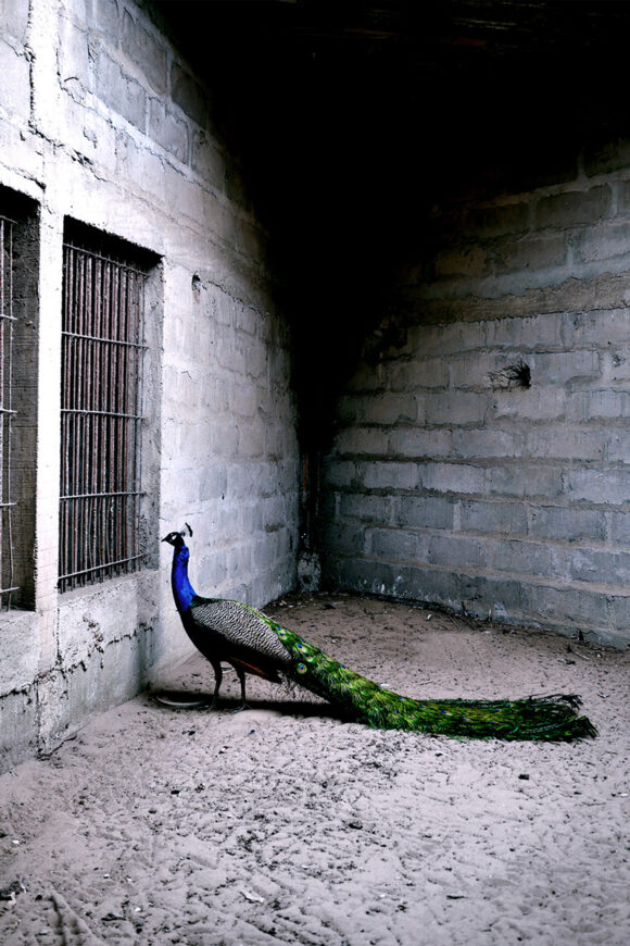 © Marie Leroux