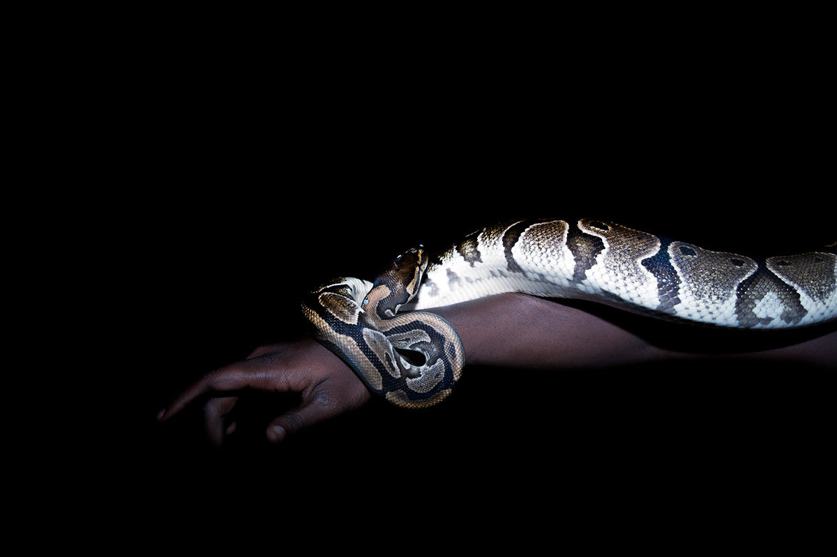 © Marie Leroux
