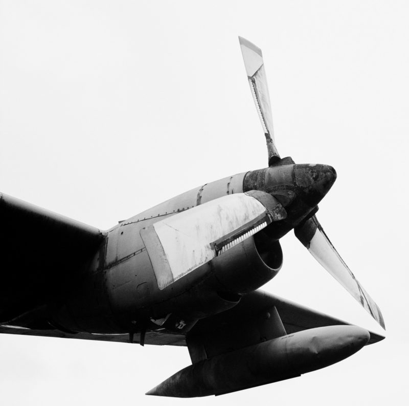 © Nicola Bertasi