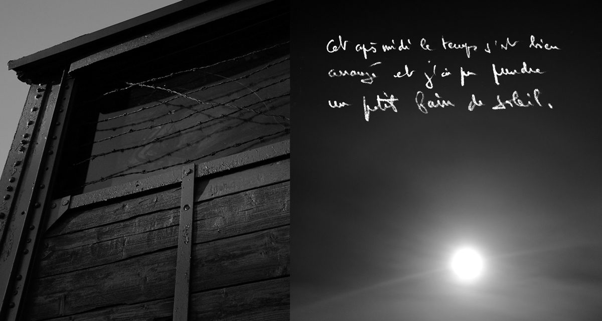 © Gilles Mercier