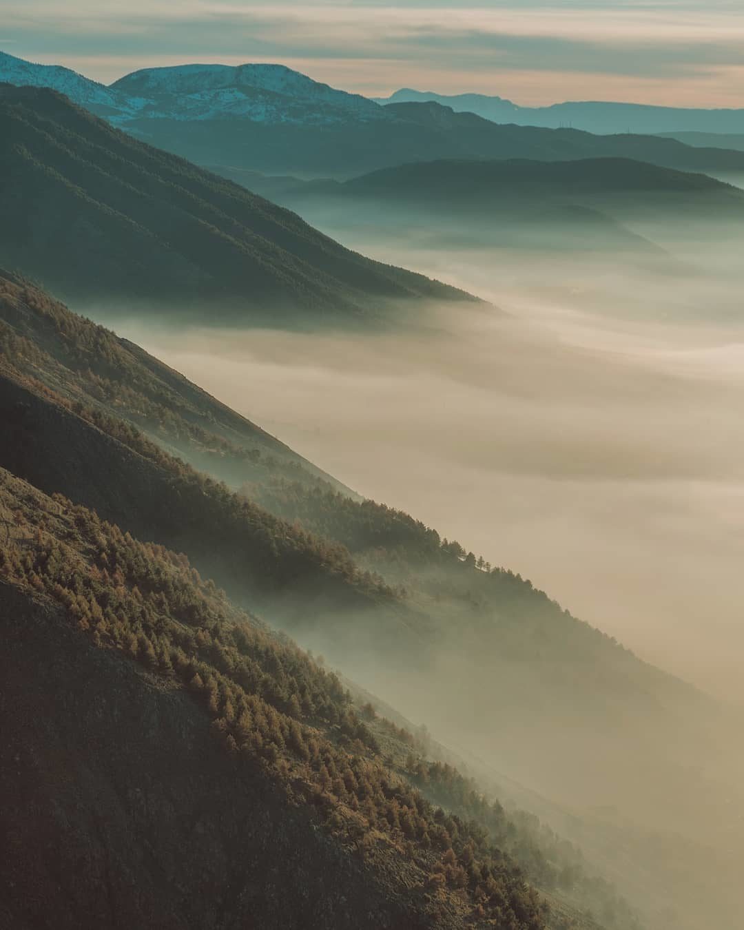© Mainak Bose / Instagram