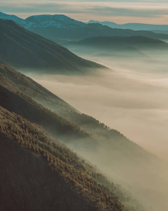 © Jay Basha / Instagram