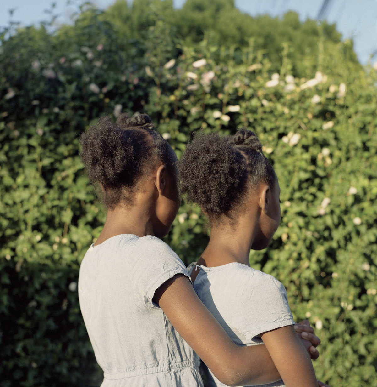 © Miranda Barnes