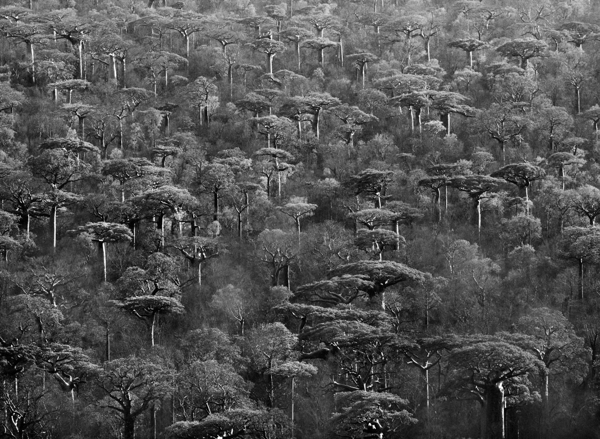 © Sebastio Salgado