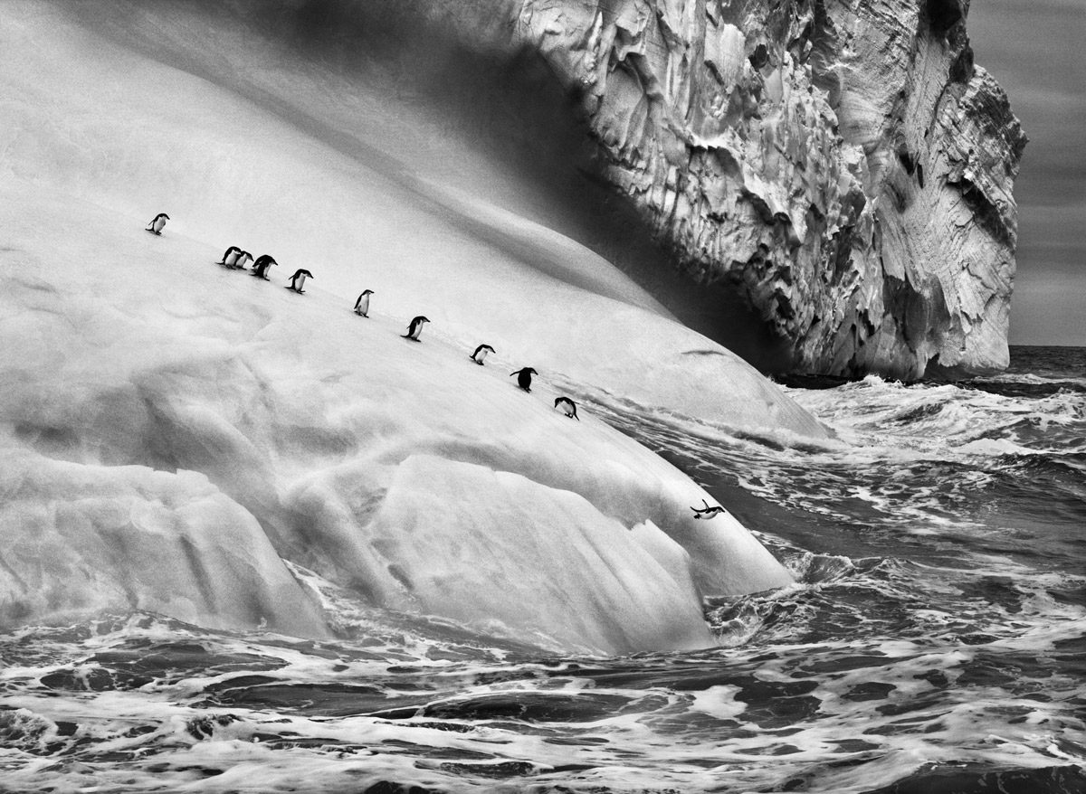 © Sebastiao Salgado