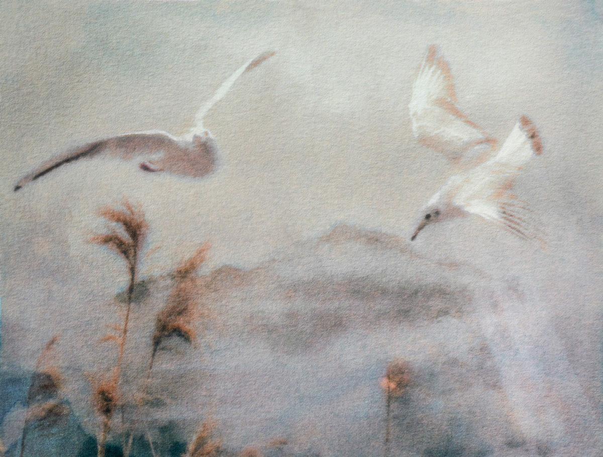 © Sophie Alyz