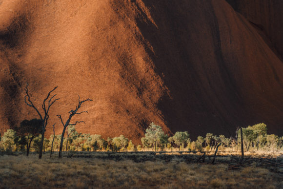© Daniel Müller