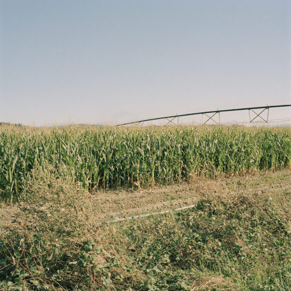© Anaïs Ondet