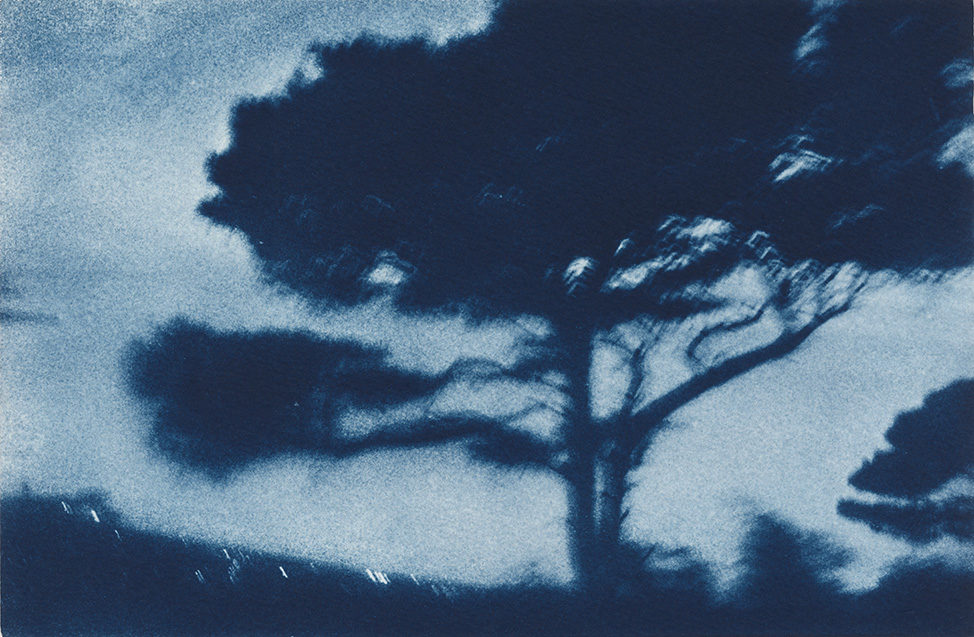 © Michaël Duperrin