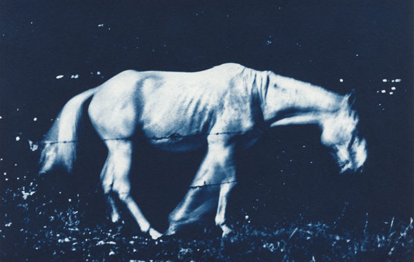© Michaël Duperrin