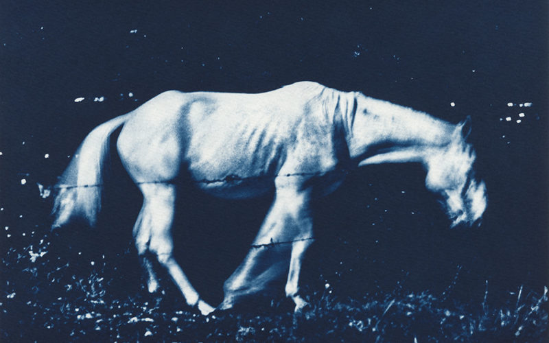 © Michaël Duperrin