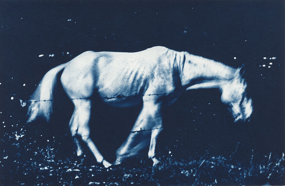 © Michaël Duperrin