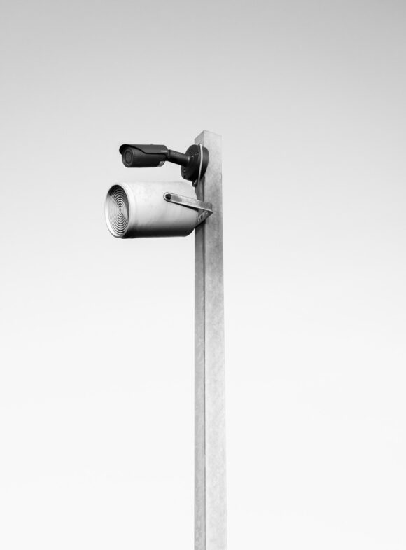 © Sacha Féraud