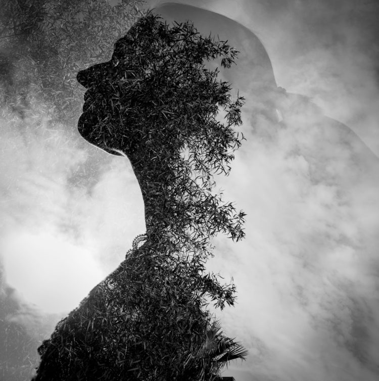 © Frauke Wohlers