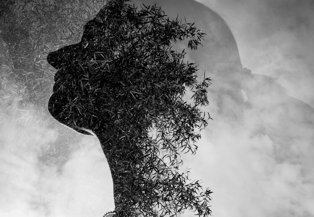 © Frauke Wohlers
