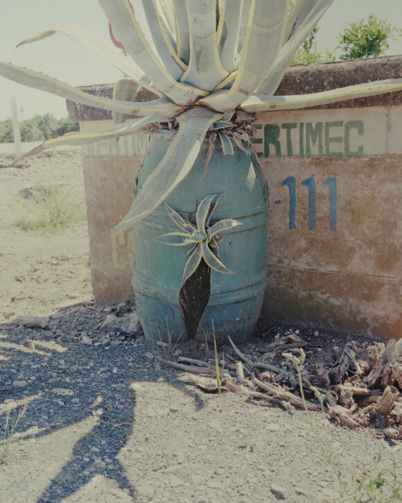 © Alvaro Deprit