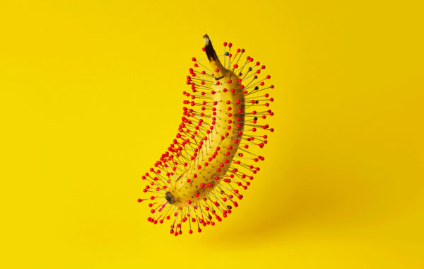 © Sage Szkabarnicki-Stuart