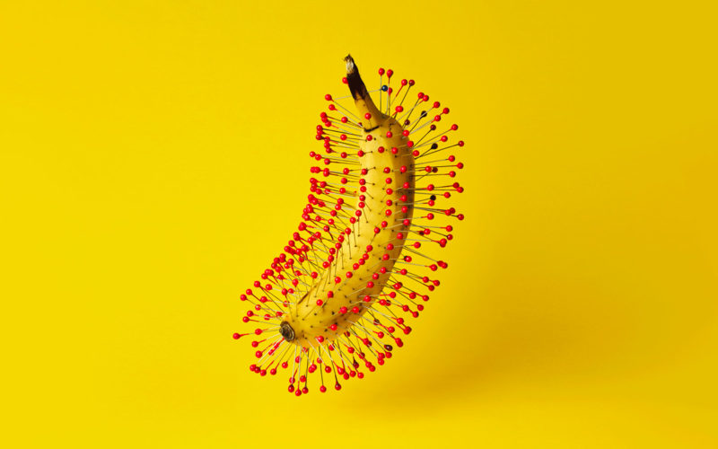 © Sage Szkabarnicki-Stuart