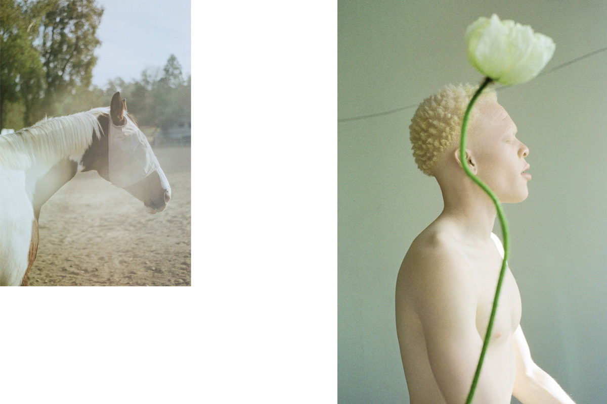 © Kin Coedel