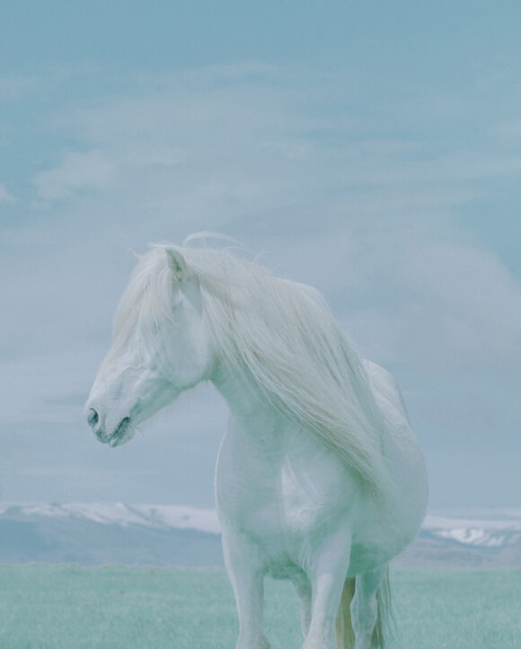 © Yiwei Li
