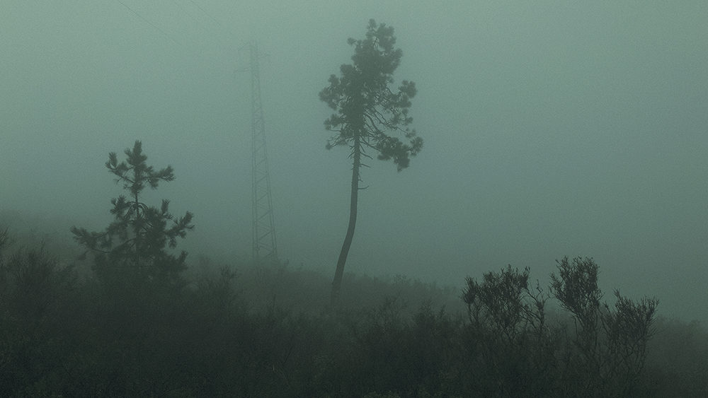 © Alla Chiara Luzzitelli