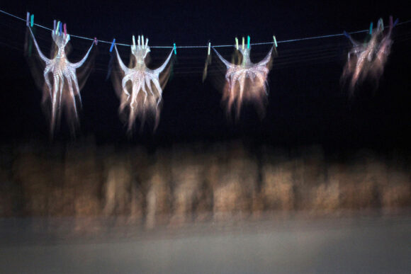 © Charalampos Kydonakis