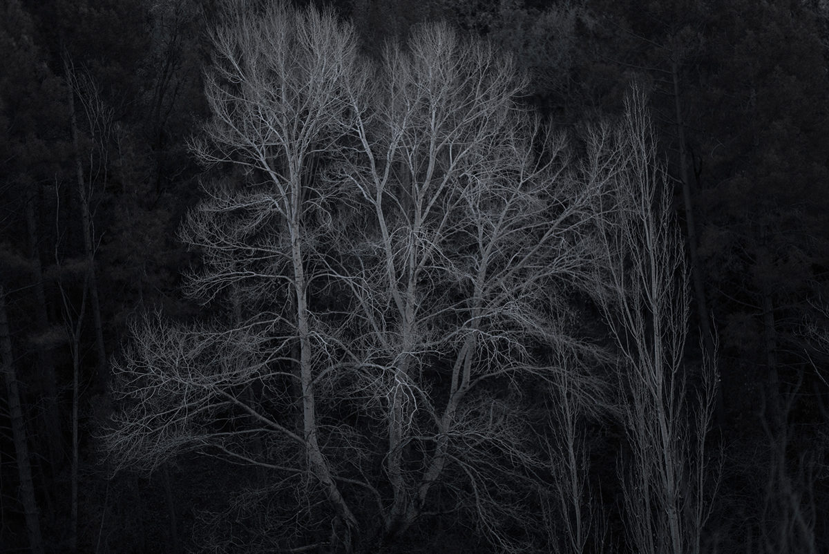 © Joan Alvado