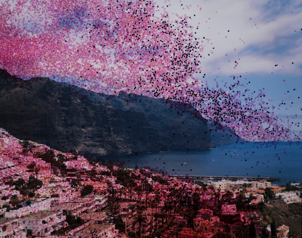 © Seba Kurtis