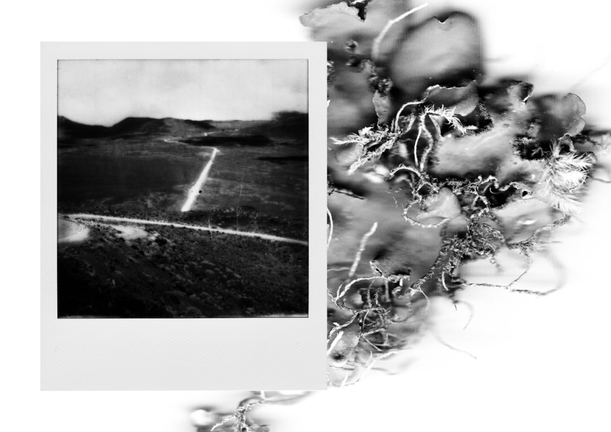 © Alice Lévêque