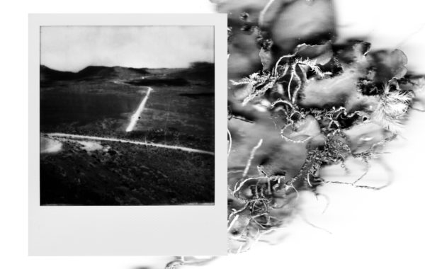 © Alice Lévêque