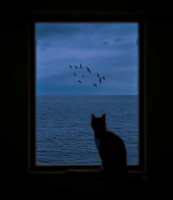 © Nikita Vasilev / Instagram