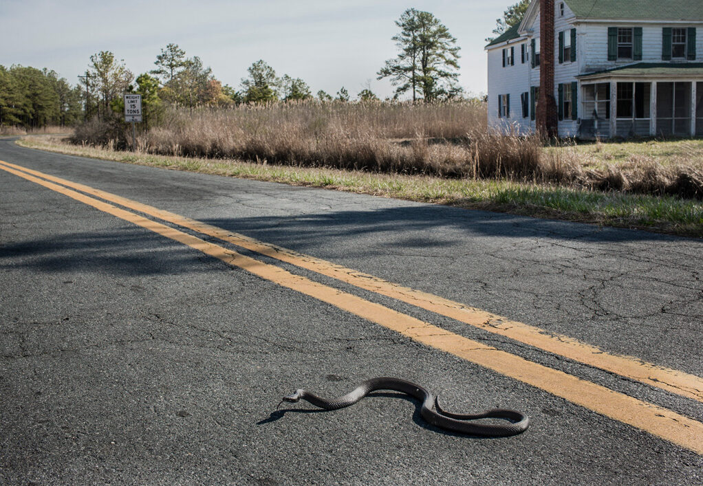 © Greg Kahn