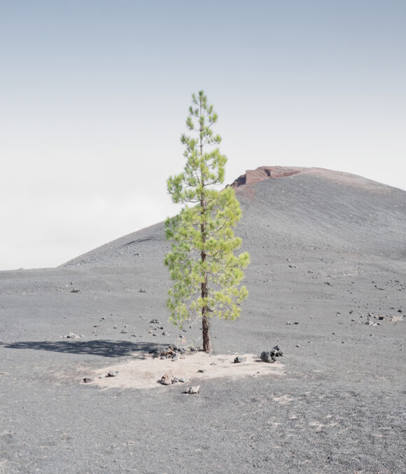 © Alexandre Chamelat