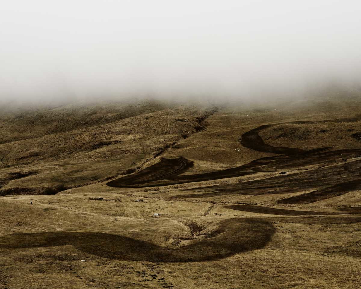 © David Falco