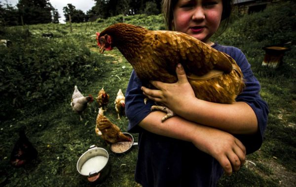 © Martin Bertrand