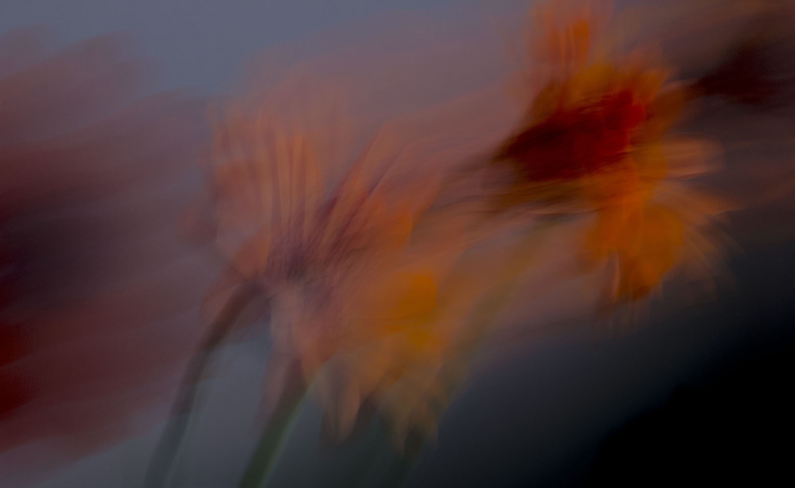© Silvia Arecco