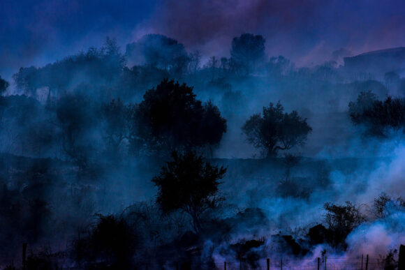 © Silvia Arecco