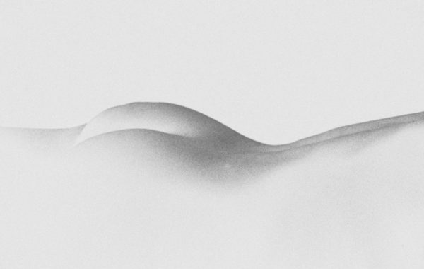 © Margaret Lansink