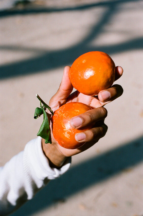 © Alex Free