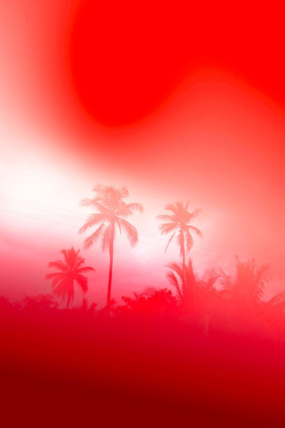 © Elsa Leydier