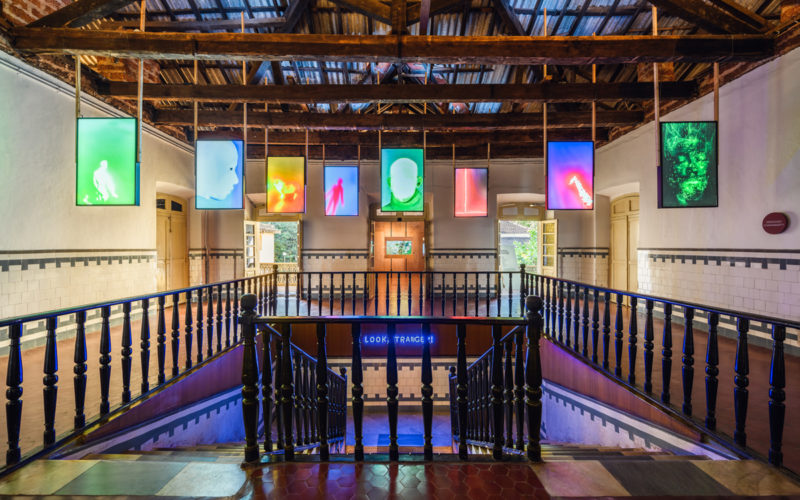Stardust by Debashish Chakrabarty for Look, Stranger! curated by Rahaab Allana, Serendipity Arts Festival 2019. 