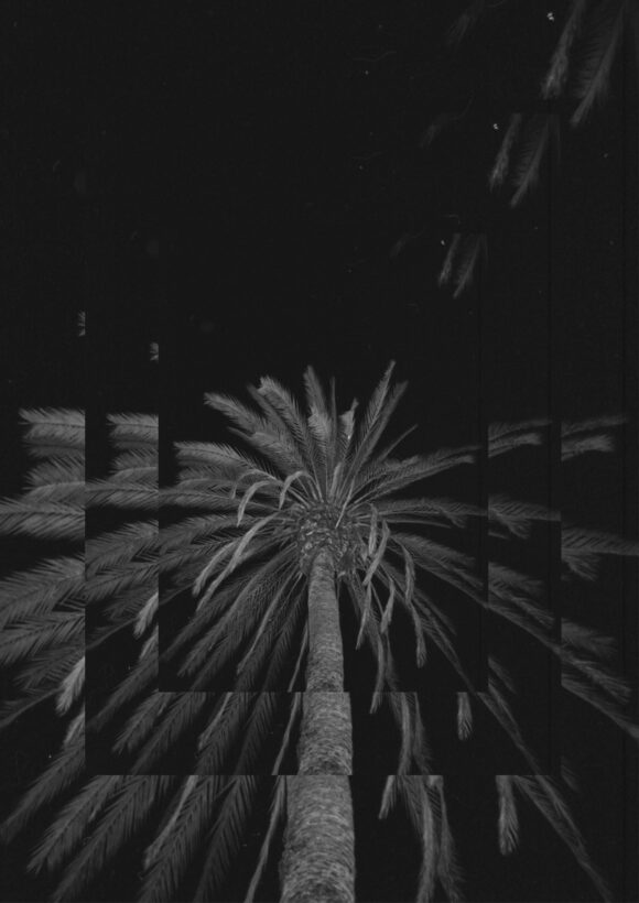 © Camille Reposeur