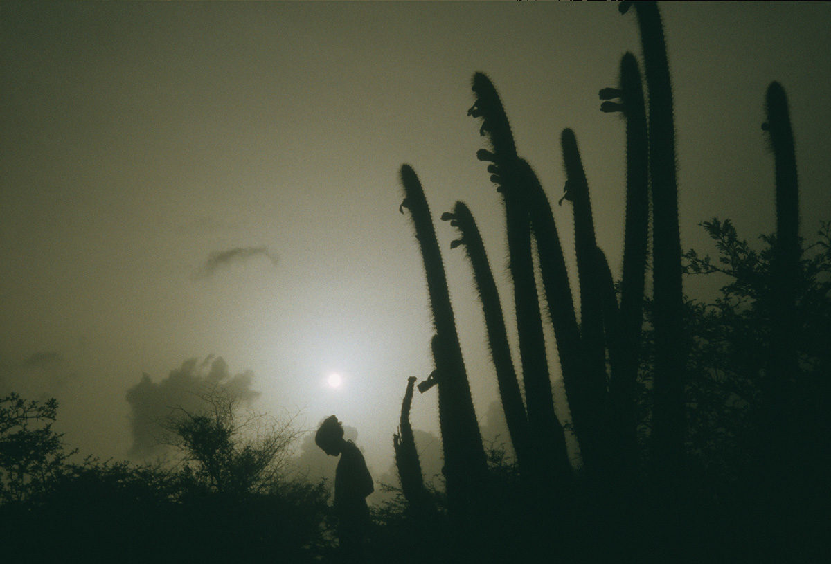© Dolores Marat