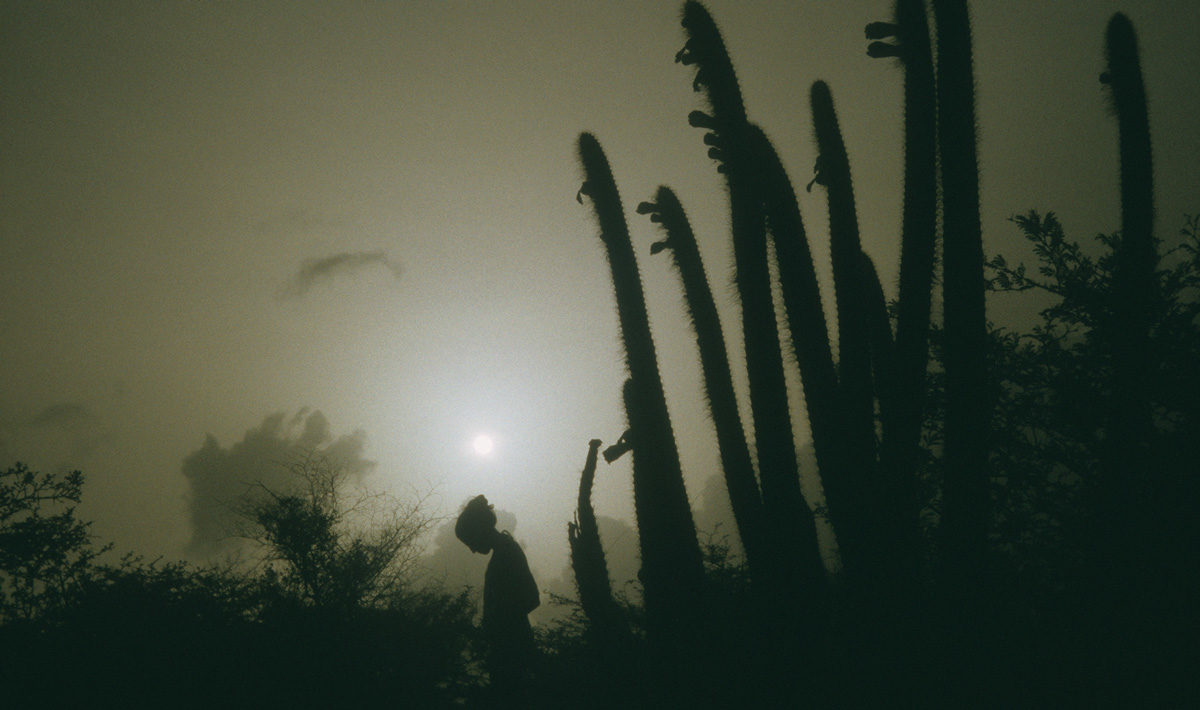 © Dolores Marat