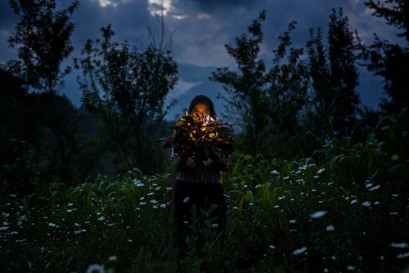 © Mara Sanchez-Renero