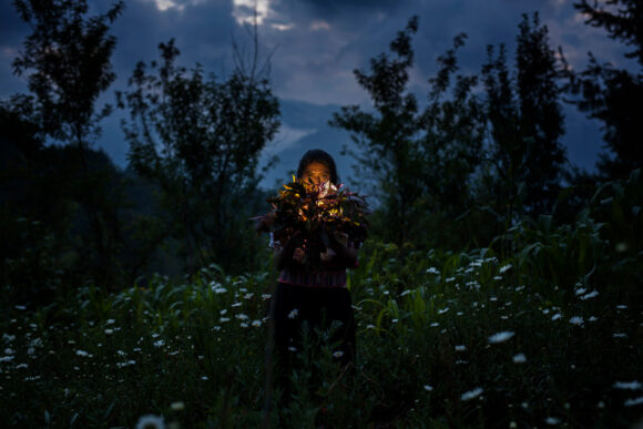 © Mara Sanchez-Renero