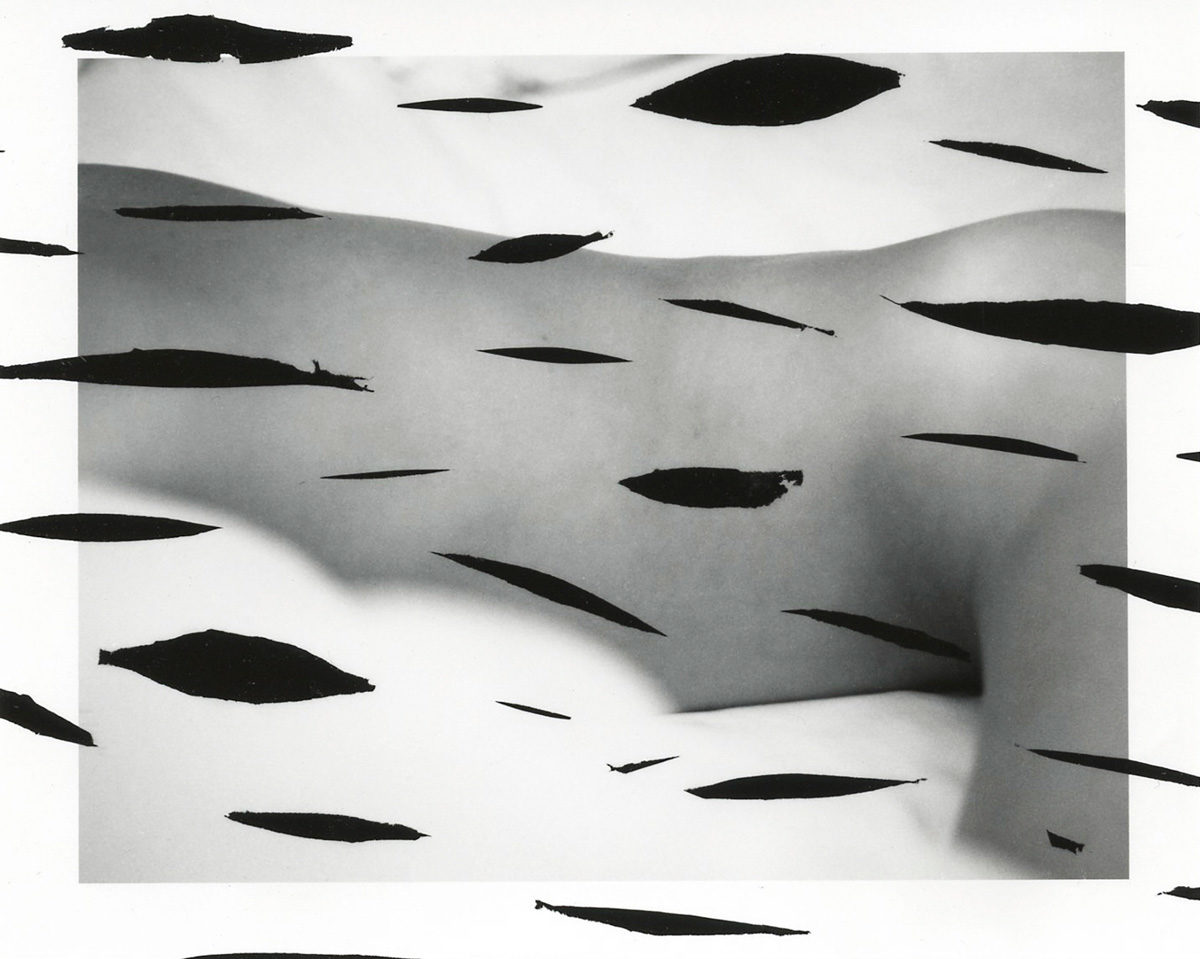 © Deanna Pizzitelli